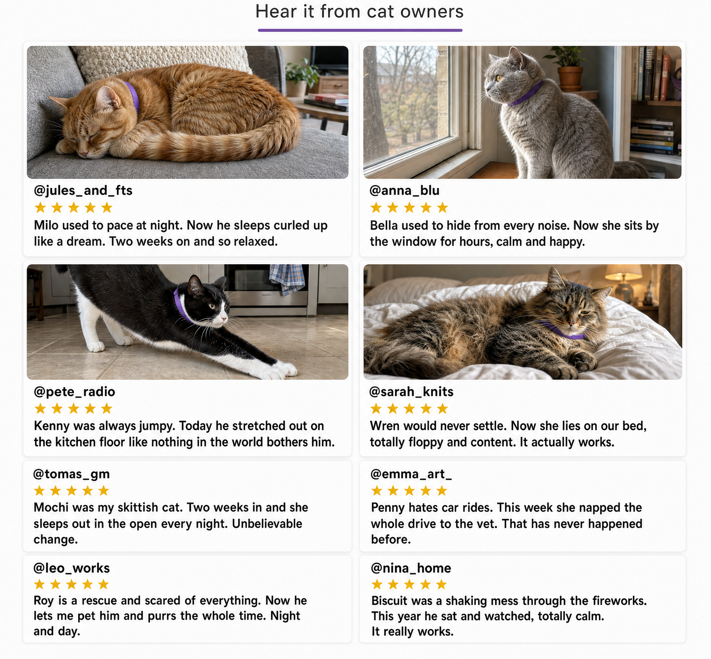 PurrCalm- Pet Calming Collars Fit for Cats, Kittens & Small Dogs